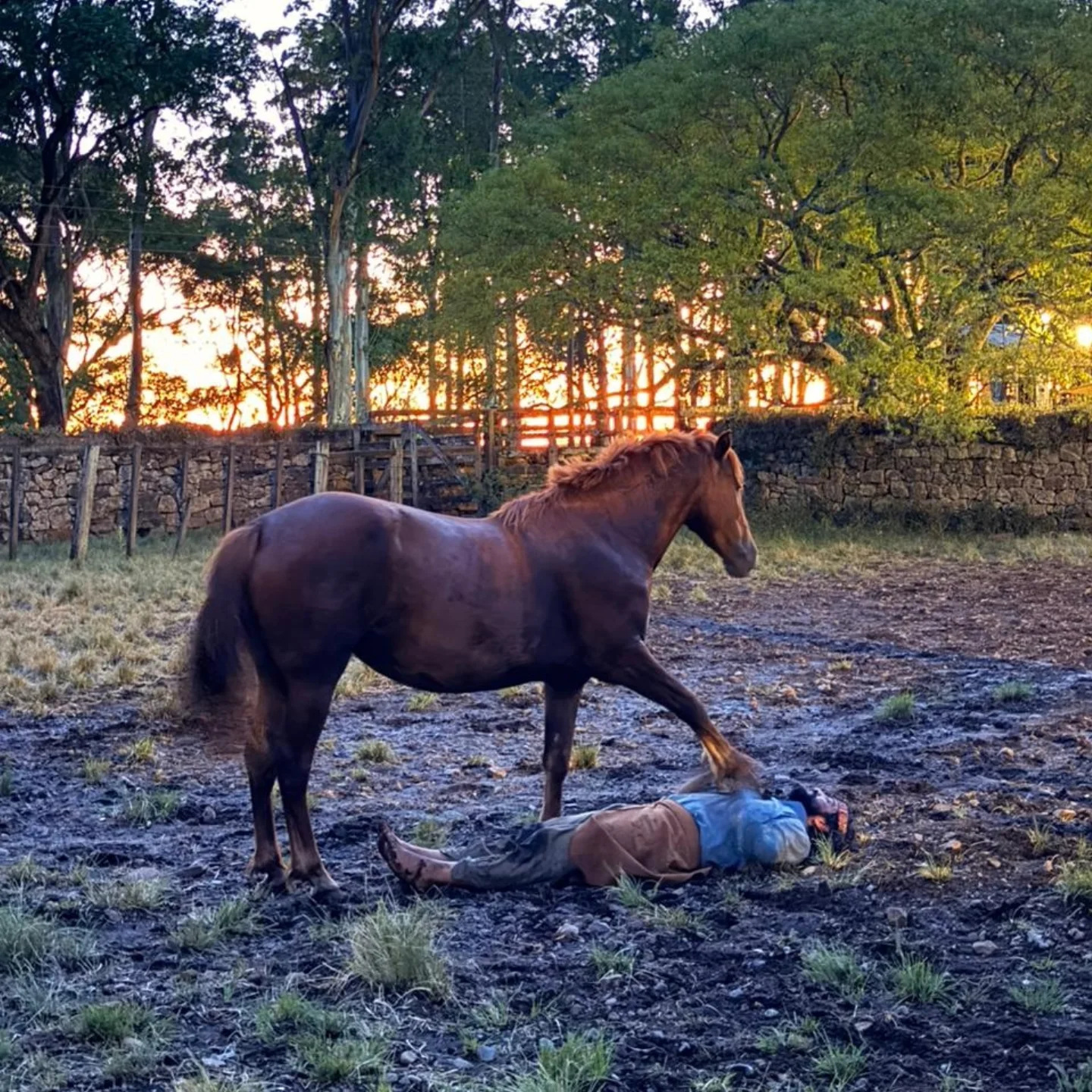 En el campo